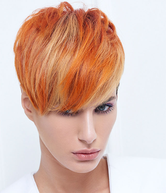 the-white-collection-5